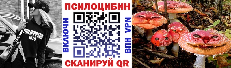 купить   Зеленогорск  дарк нет телеграм  Галлюциногенные грибы Cubensis 